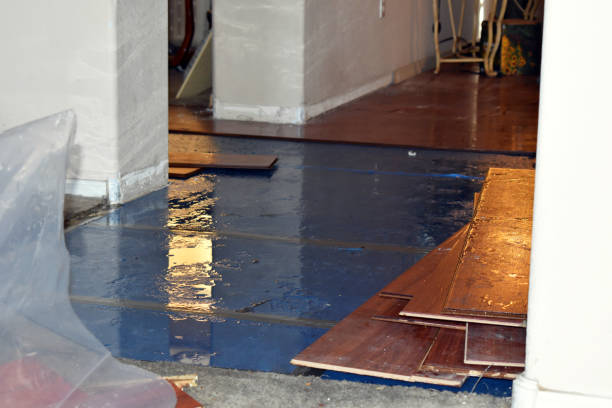 Professional Burst Pipe Cleanup technician working in Thompsonville, CT
